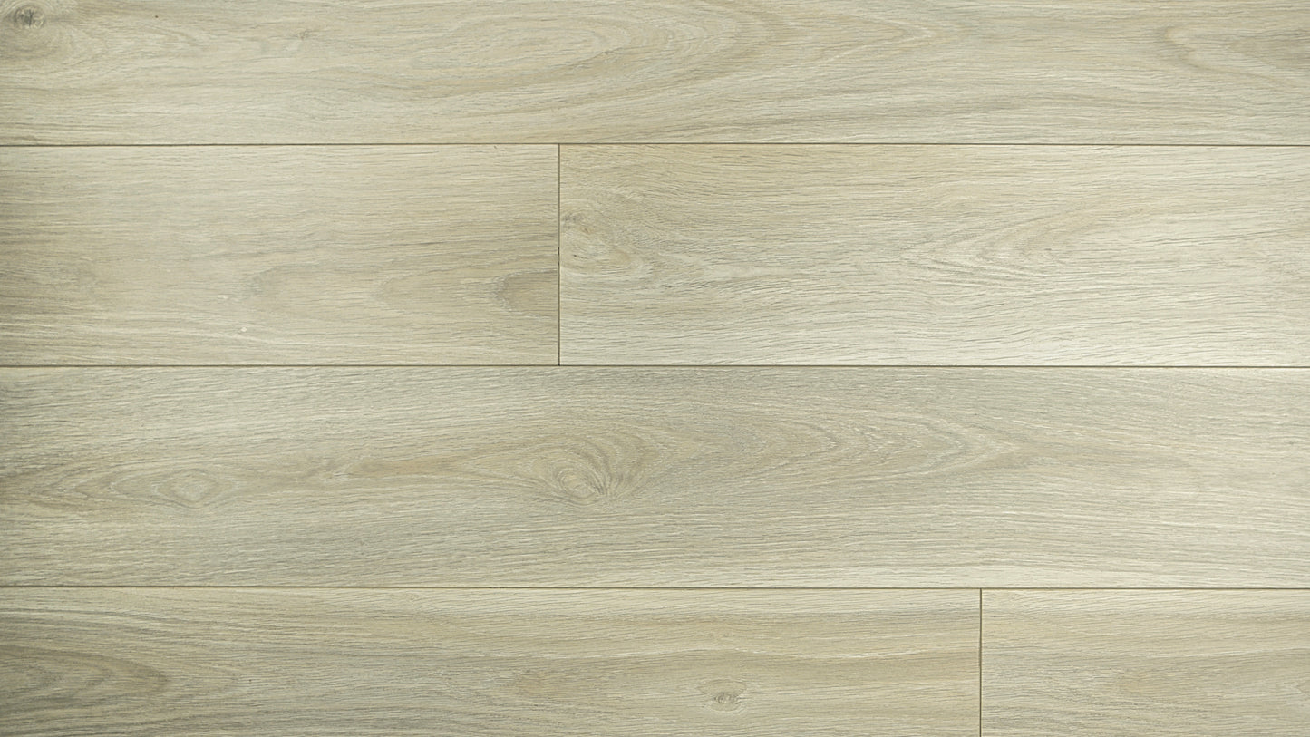 Contemporary Plus Edition 12.3mm Prime Laminate