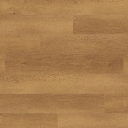 Opus Gluedown Wood Look Luxury Vinyl 1219 x 228mm