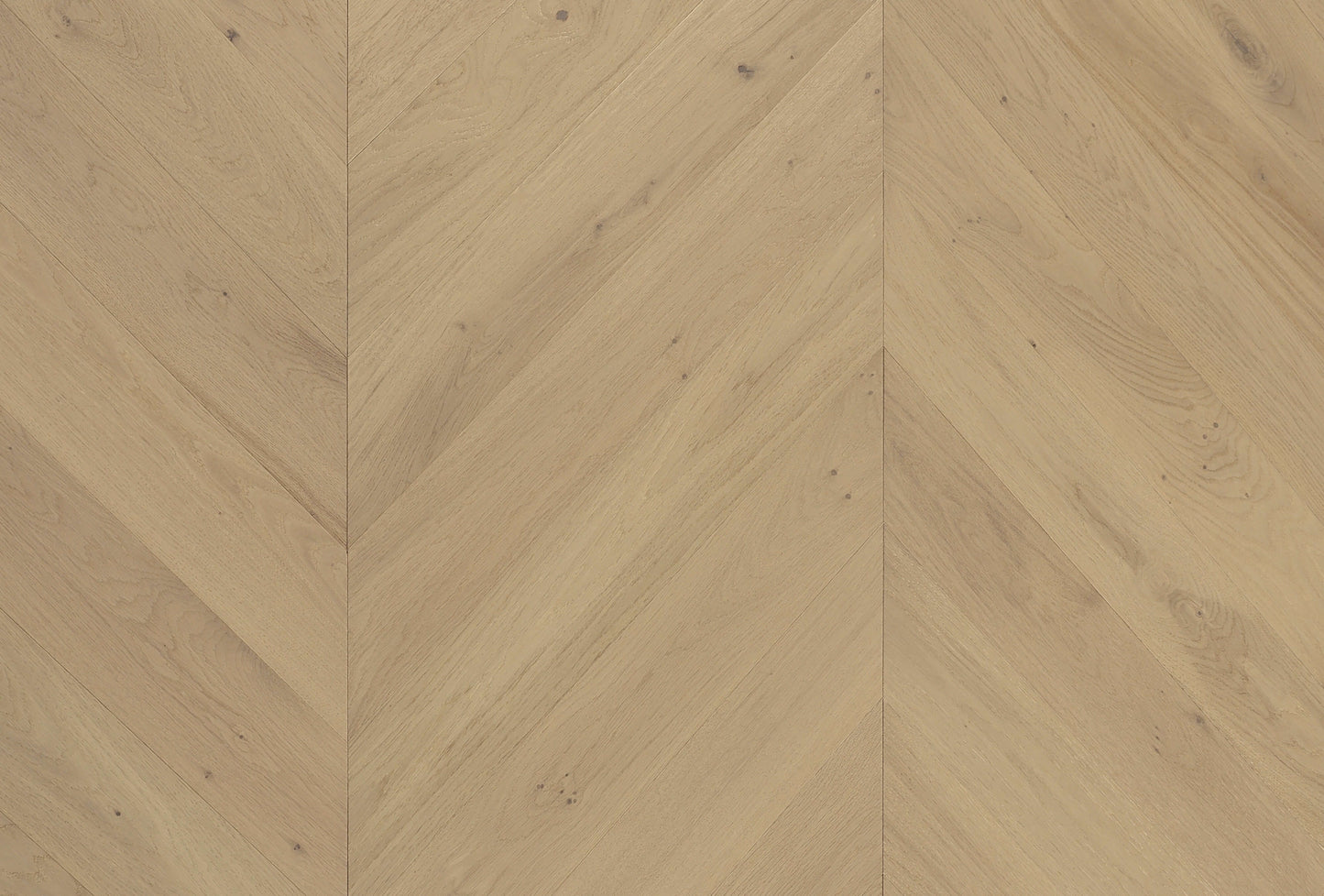 Cavallo Bianco Chevron Euro Oak Engineered Timber