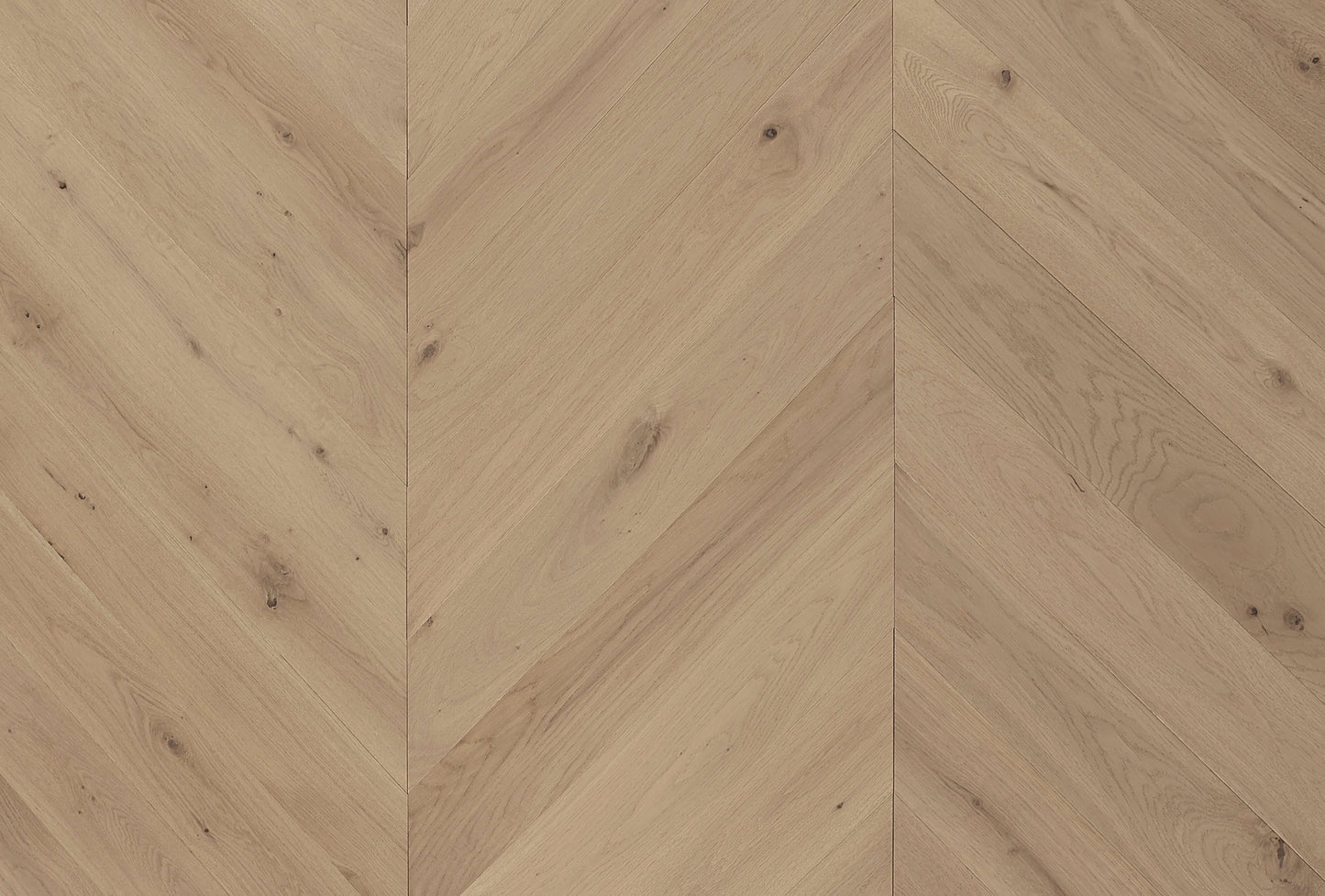 Cavallo Bianco Chevron Euro Oak Engineered Timber