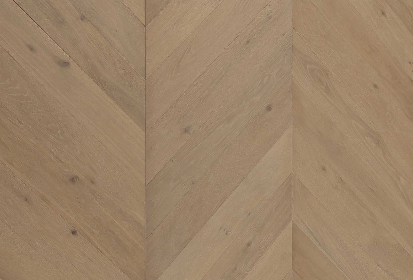 Cavallo Bianco Chevron Euro Oak Engineered Timber