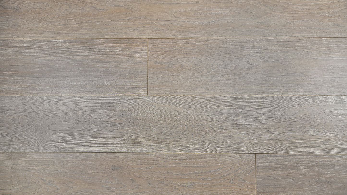 Contemporary Plus Edition 12.3mm Prime Laminate