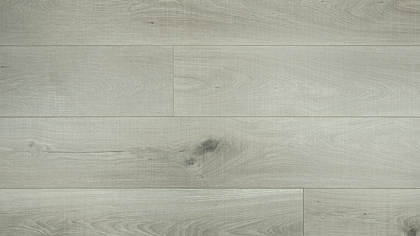 Contemporary Plus Edition 12.3mm Prime Laminate