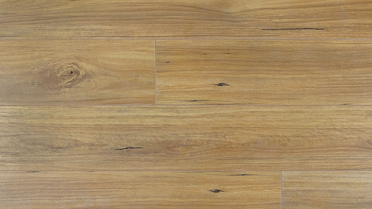 Contemporary Plus Edition 12.3mm Prime Laminate