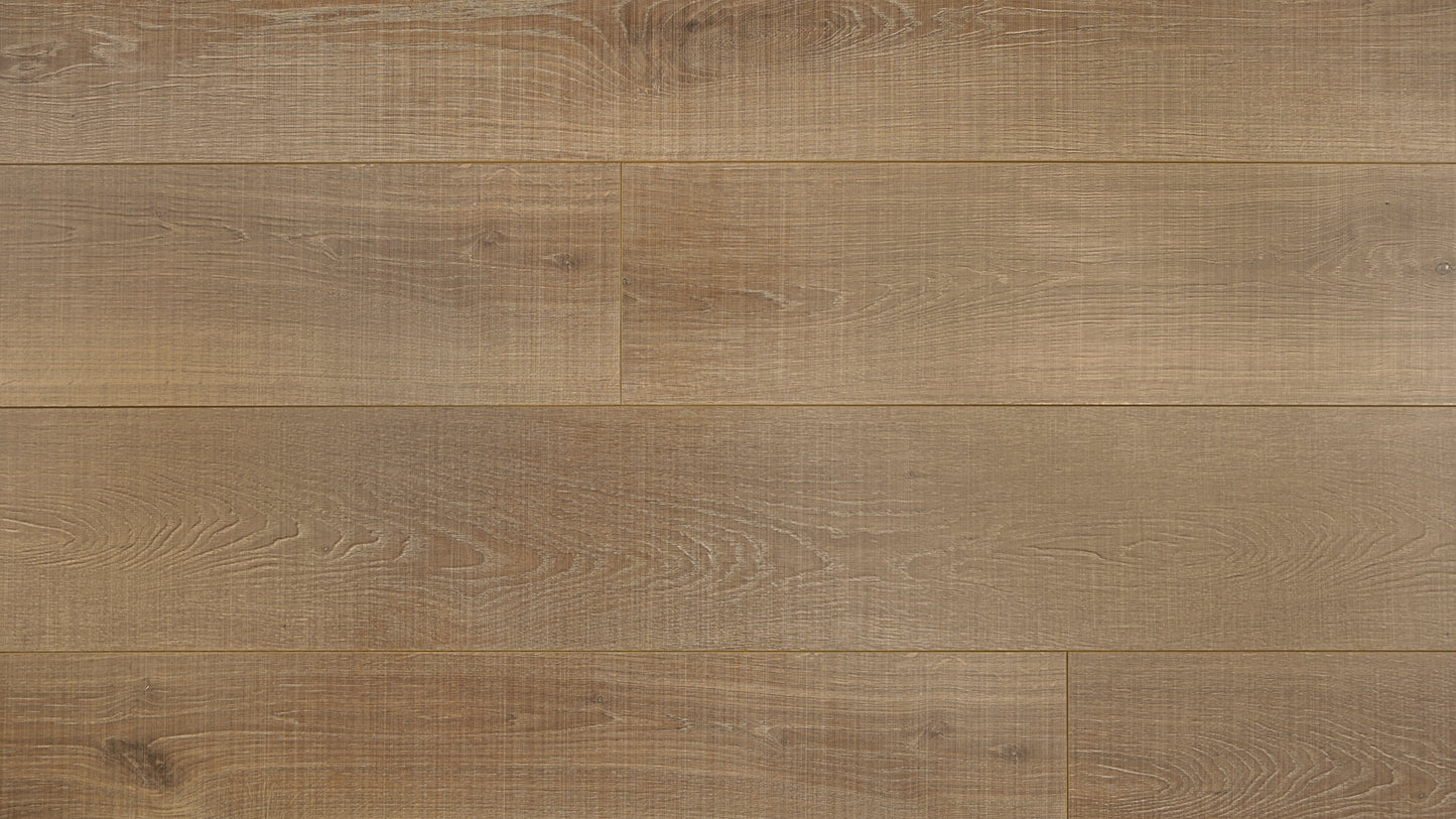 Contemporary Plus Edition 12.3mm Prime Laminate