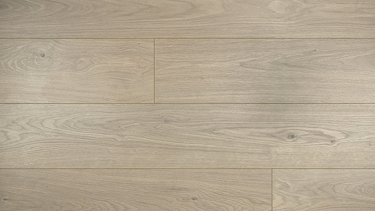 Contemporary Plus Edition 12.3mm Prime Laminate