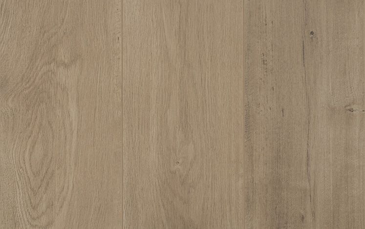 Reflections Evoke Laminate