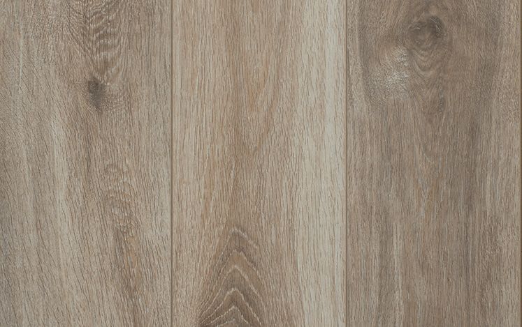 Reflections Evoke Laminate