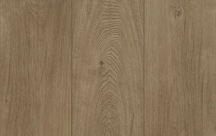 Reflections Evoke Laminate