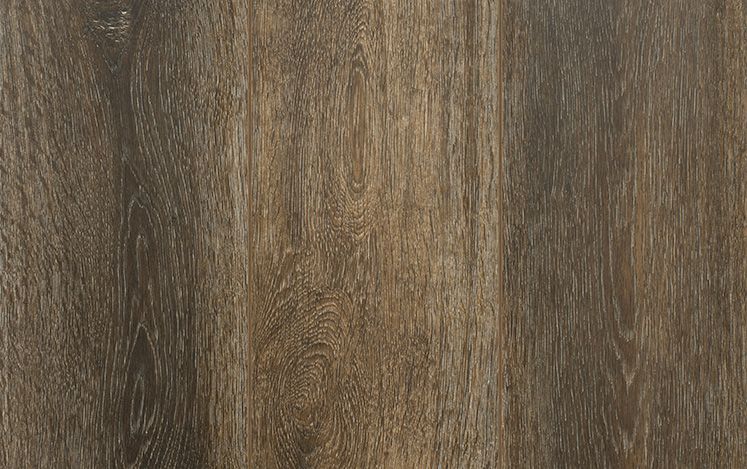 Reflections Evoke Laminate