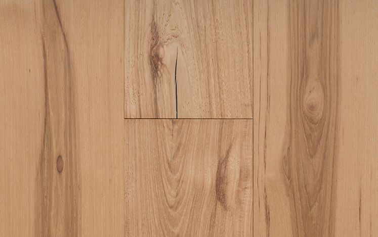 Hickory Impressions Classique Timber