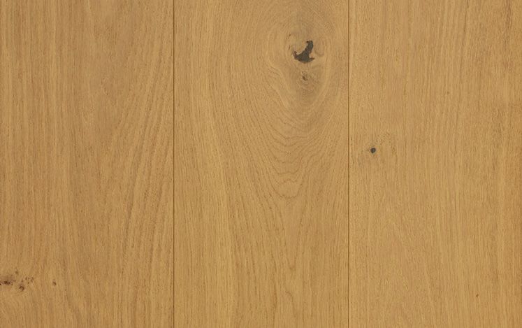 Aurora European Oak Timber