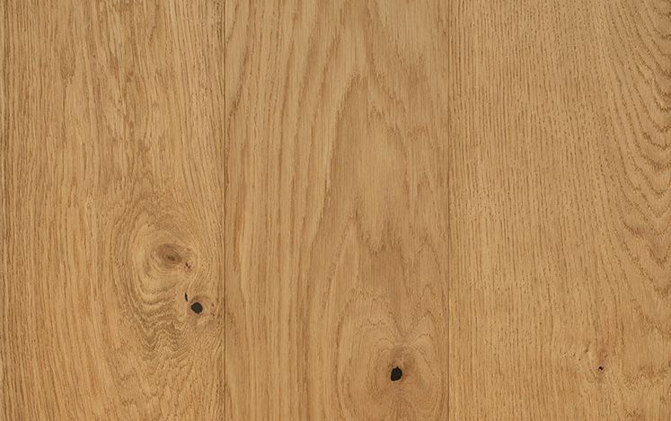 Aurora European Oak Timber